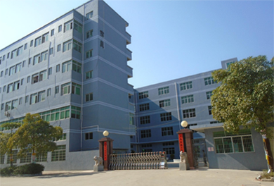 Merged Dongguan factory